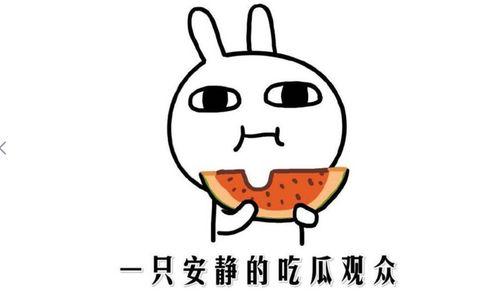 吃瓜网今日热门,揭秘娱乐圈最新八卦，热点事件一网打尽！