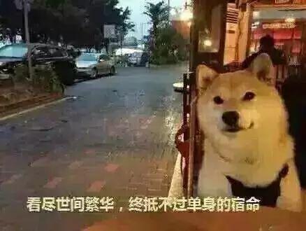 今日瓜沥有谁来访问,共谋发展新篇章”