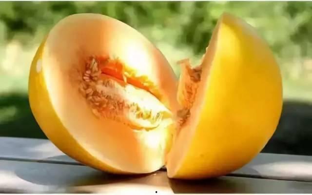 民勤蜜瓜今日收购价,甜蜜行情一览