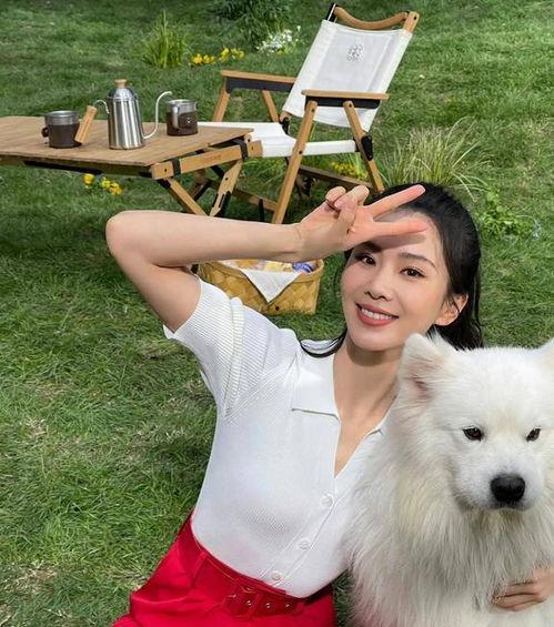 哪个明星网红养比熊,与比熊犬的温馨时光