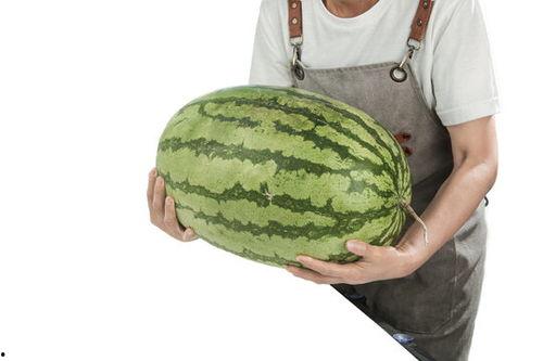 石头瓜今日行情下跌