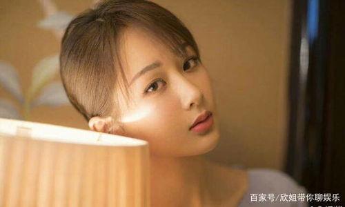 中国不需要明星网红,聚焦中国本土文化魅力