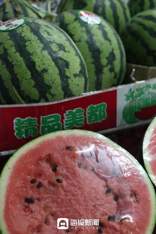 甜王瓜今日价格行情,价格波动解析与市场趋势洞察