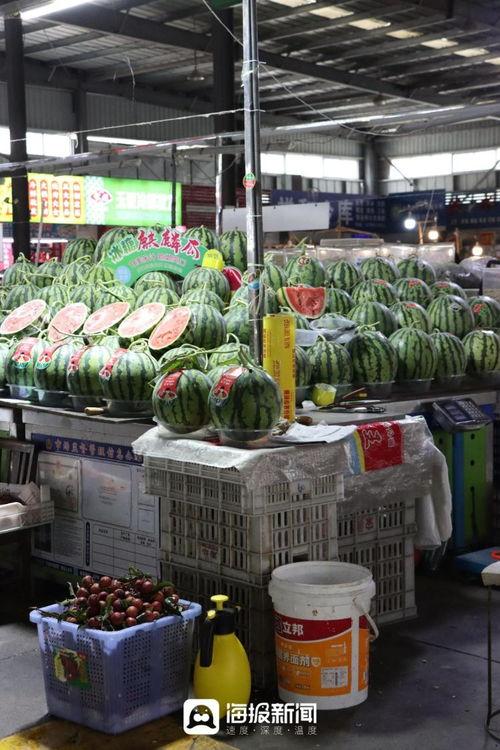 甜王瓜今日价格行情,价格波动解析与市场趋势洞察