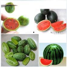 吃瓜今日热门大瓜图片,吃瓜群众聚焦的惊天大瓜！