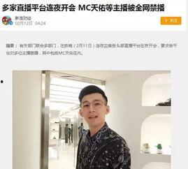 明星网红罚款多少元了