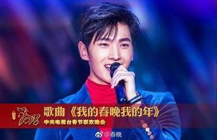 央视对明星网红的限制,央视力促行业规范发展