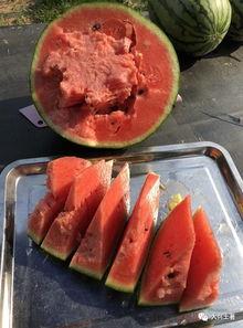 今日吃瓜每日大瓜网红黑料