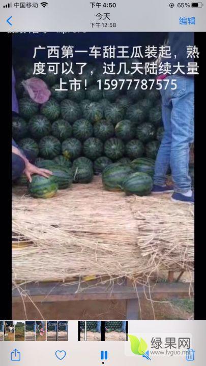 广州江南市场麒麟瓜今日行情,行情看涨！”