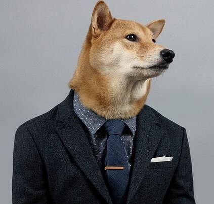 明星网红款男装图片大全,明星网红款男装大盘点