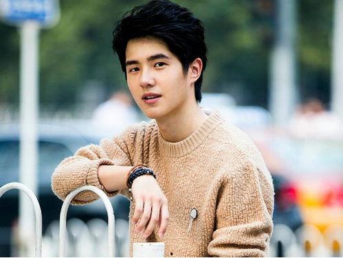 明星网红对手有哪些名字,揭秘那些闪耀舞台背后的对手名单