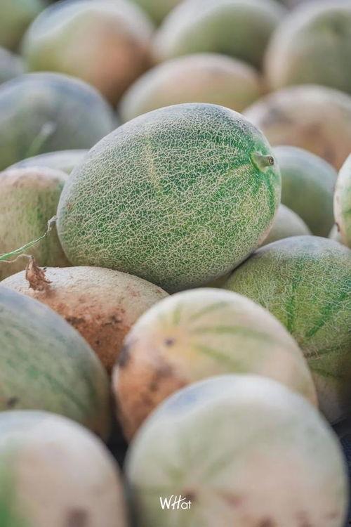 今日又有什么大瓜,重磅爆料接连不断，明星隐私再掀波澜