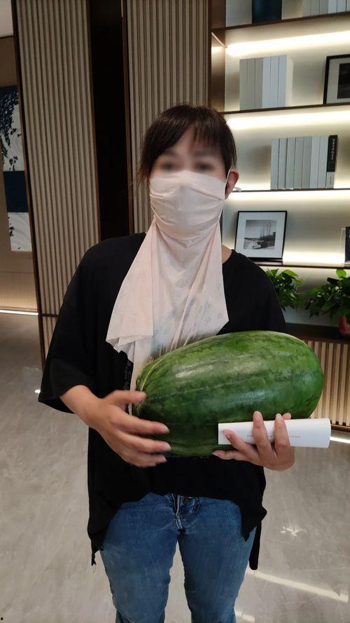 今日又有什么大瓜,重磅爆料接连不断，明星隐私再掀波澜